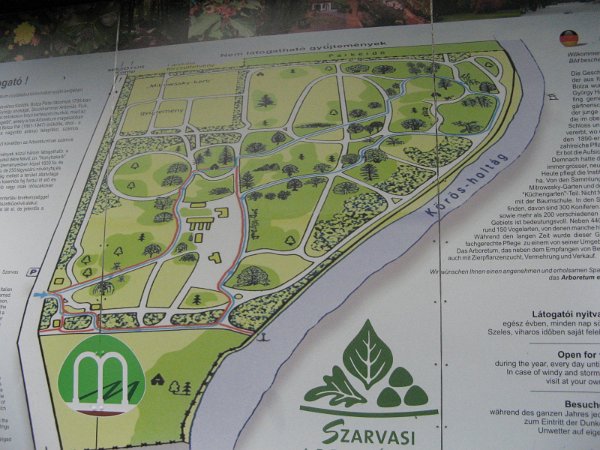 Szarvas 011